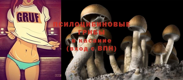 МДПВ Волоколамск