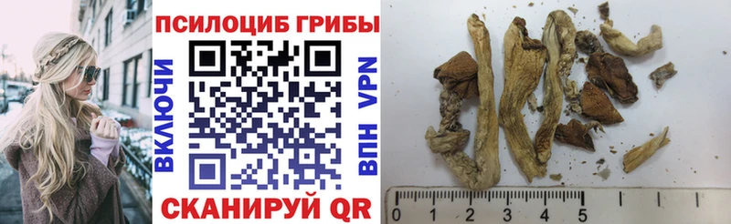 Купить  Луховицы  Галлюциногенные грибы Magic Shrooms 